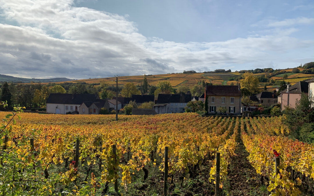 Domaine de Cassiopée