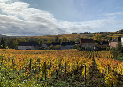 Domaine de Cassiopée